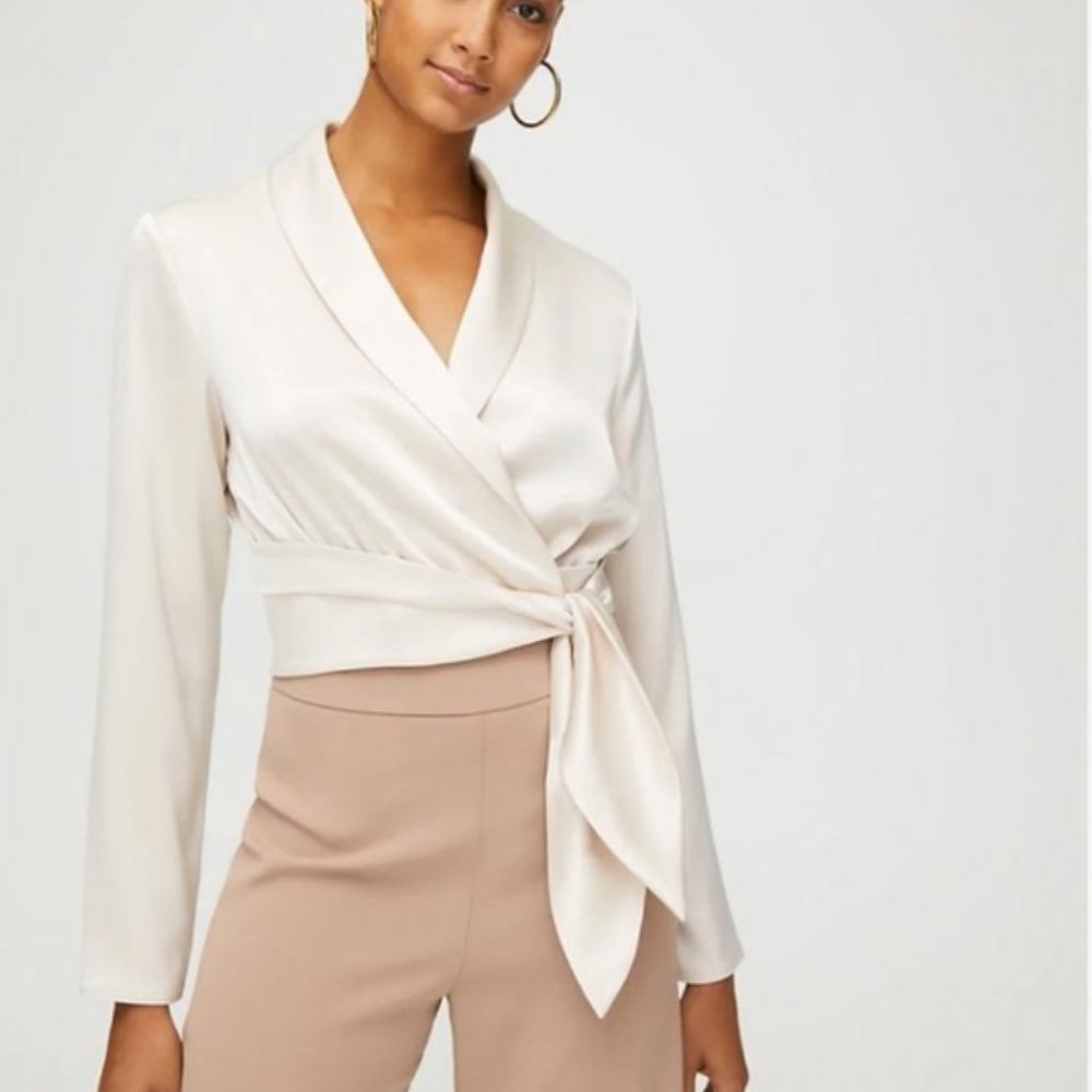 Babaton Davis Blouse Aritzia